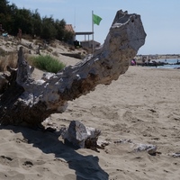 Photo de France - La randonnée de la Tamarissière